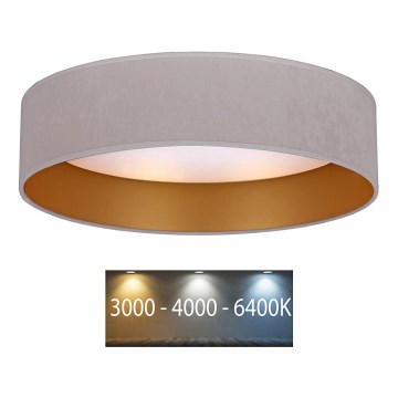 Brilagi - LED Stropní svítidlo VELVET LED/12W/230V pr. 30 cm 3000K/4000K/6400K krémová/zlatá