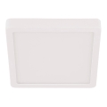 Eglo - LED Koupelnové stropní svítidlo LED/20,5W/230V IP44 bílá