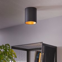 Eglo - LED Stropní svítidlo 1xLED/3,3W/230V