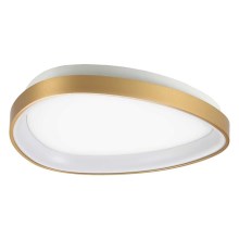 Ideal Lux - LED Stropní svítidlo GEMINI LED/23W/230V pr. 42,5 cm zlatá