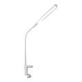 LED Stmívatelná stolní lampa PRIM LED/10W/230V 3000-6000K bílá