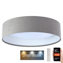 LED Stmívatelné stropní svítidlo SMART GALAXY LED/36W/230V pr. 55 cm 2700-6500K Wi-Fi Tuya šedá/bílá + dálkové ovládání