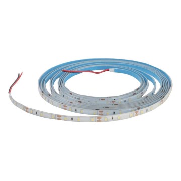 LED Stmívatelný pásek koupelnový DAISY 5m denní bílá IP65