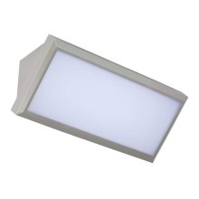 LED Venkovní nástěnné svítidlo LED/20W/230V 6400K IP65 šedá