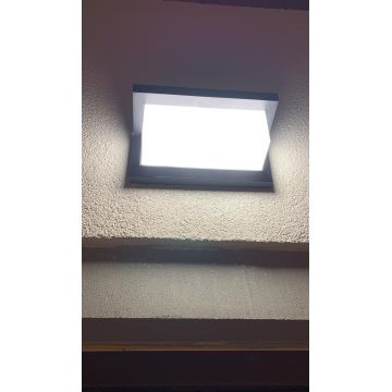 LED Venkovní nástěnné svítidlo se senzorem LED/12W/230V IP54 černá