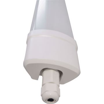 LED Zářivkové svítidlo DAISY LED/40W/230V 4000K IP65
