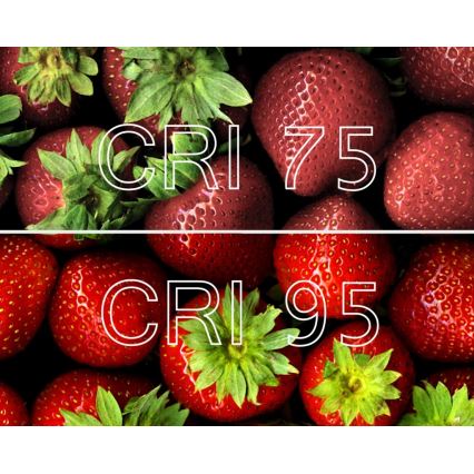 LED Žárovka A60 E27/10W/230V 4100K CRI 95 Ra