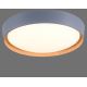 Leuchten Direkt 14347-15 - LED Stmívatelné stropní svítidlo EMILIA LED/28,8W/230V šedá