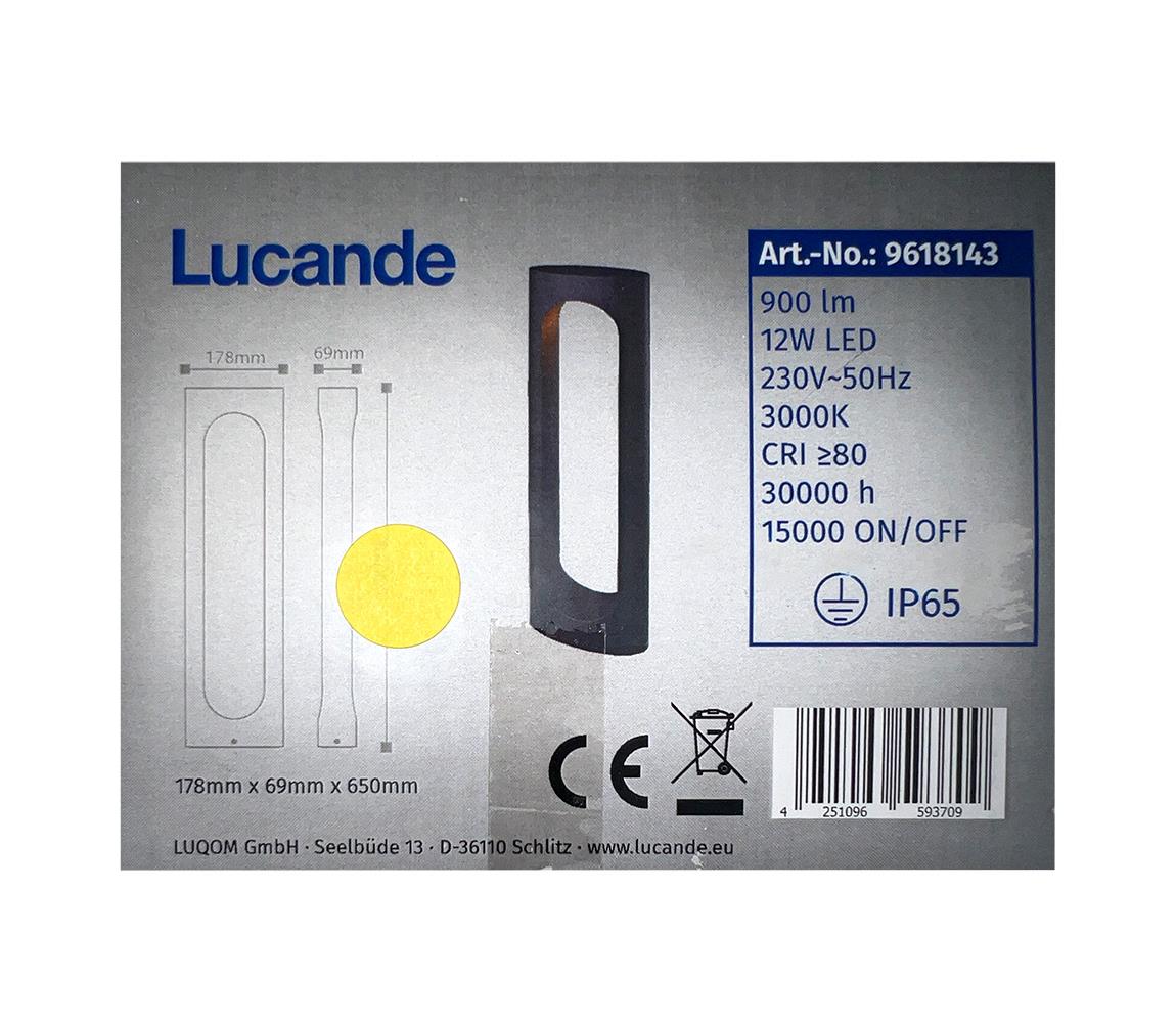 Lucande Lucande - LED Venkovní lampa FENTI LED/12W/230V IP65 
