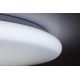 Rabalux - LED Stmívatelné stropní svítidlo LED/60W/230V + dálkové ovládání