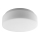 Venkovní stropní svítidlo ALTRA 1xE27/60W opálové sklo IP44