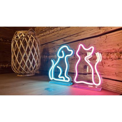 2Kids Toys - LED Neonová stolní dekorace LED/5W/USB kočka