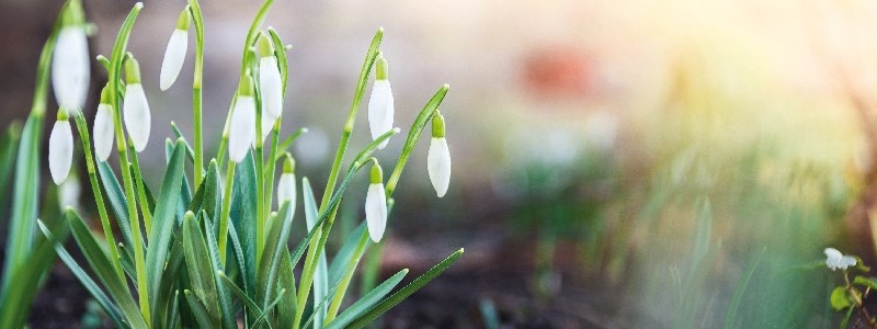 Svítidla a osvětlení - NOVINKY na Březen