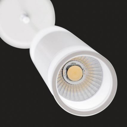 AEG - LED Stmívatelný lustr na lanku ABBY LED/10W/230V