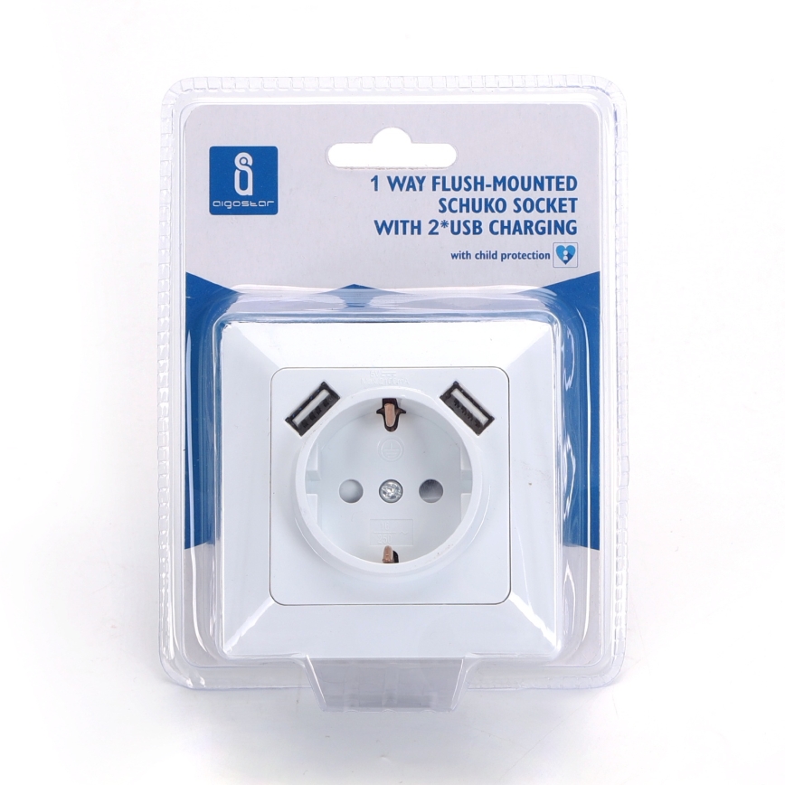 Aigostar - Domovní zásuvka SCHUKO 250V + 2x USB s rámečkem bílá