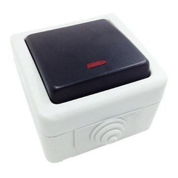 Aigostar - Dvoupólový vypínač se světlem