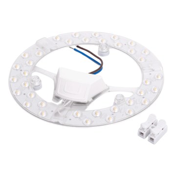 Aigostar - LED Magnetický modul LED/24W/230V 4000K
