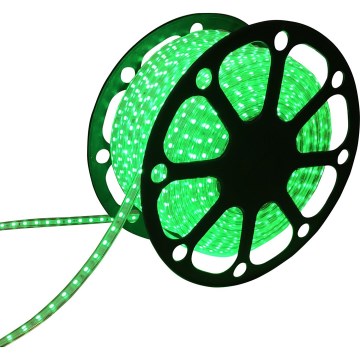 Aigostar - LED Pásek 50m LED/300W/230V IP65 zelená
