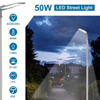 Aigostar - LED Pouliční lampa LED/50W/230V 6500K IP65