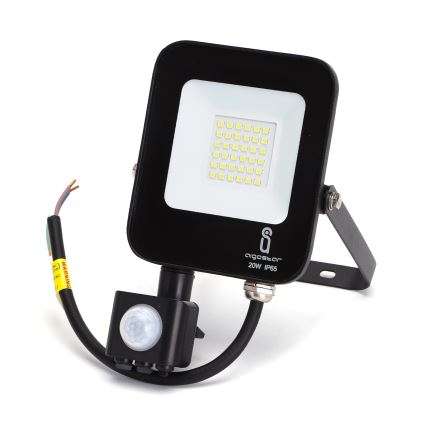 Aigostar - LED Reflektor se senzorem LED/20W/230V 6500K IP65