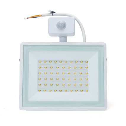 Aigostar - LED Reflektor se senzorem LED/50W/230V 4000K IP65 bílá