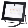Aigostar - LED RGB Stmívatelný reflektor LED/10W/230V IP65 + dálkové ovládání