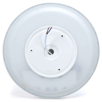 Aigostar - LED RGBW Stmívatelné stropní svítidlo MESH LED/24W/230V 3000-6500K bílá + dálkové ovládání