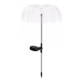 Aigostar - LED Solární dekorační lampa LED/0,03W/1,2V 70cm 300 mAh 6500K IP44
