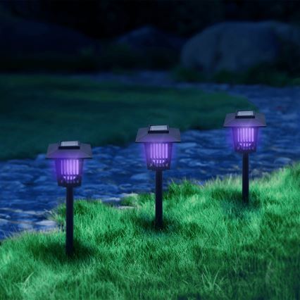 Aigostar - LED Solární lampa s lapačem hmyzu LED/0,03W/1,2V 55,2cm černá 6500K 300 mAh IP44