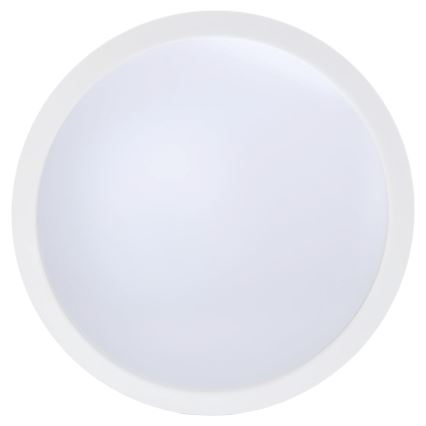 Aigostar - LED Stmívatelný stropní ventilátor LED/50W/230V 2700-6500K pr. 106cm bílá + dálkové ovládání