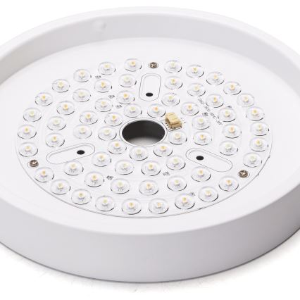 Aigostar - LED Stmívatelný stropní ventilátor LED/24W/230V 2700-6500K pr. 165 cm + dálkové ovládání bílá