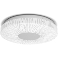 Aigostar - LED Stropní svítidlo LED/12W/230V 3000K pr. 26cm