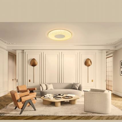 Aigostar - LED Stropní svítidlo LED/12W/230V 3000K pr. 26cm