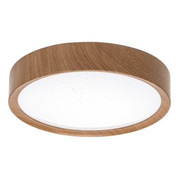 Aigostar - LED Stropní svítidlo LED/12W/230V 6500K pr. 26,3 cm