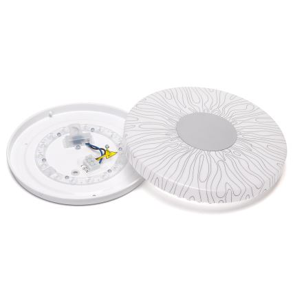 Aigostar - LED Stropní svítidlo LED/12W/230V 6500K pr. 26cm