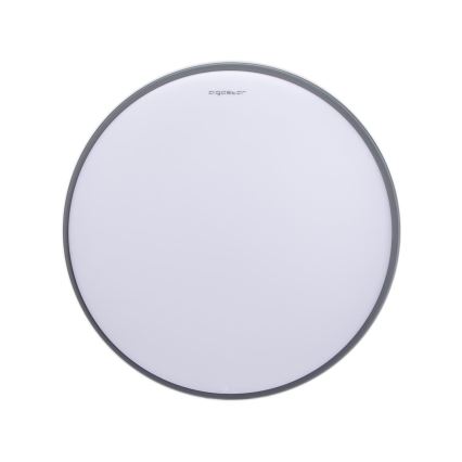 Aigostar - LED Stropní svítidlo LED/20W/230V 3000K pr. 30 cm šedá