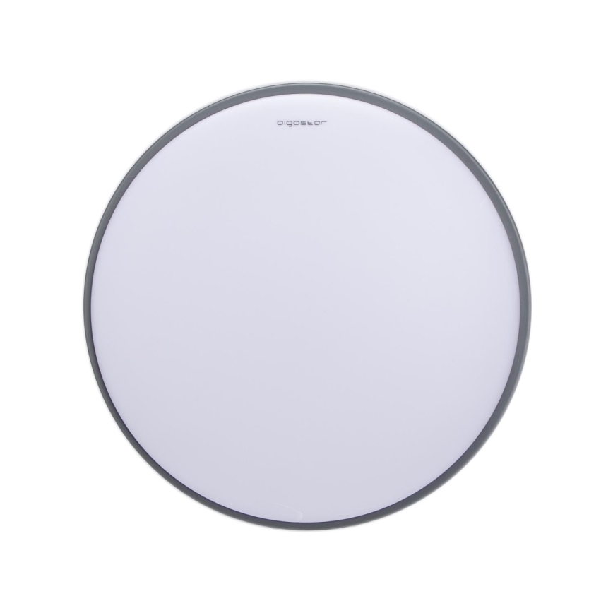 Aigostar - LED Stropní svítidlo LED/20W/230V 3000K pr. 30 cm šedá