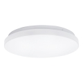 Aigostar - LED Stropní svítidlo LED/24W/230V 3000K