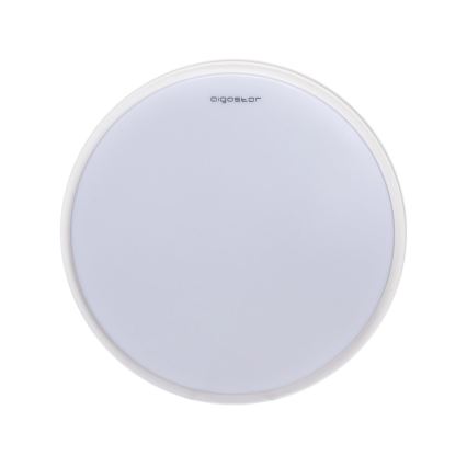 Aigostar - LED Stropní svítidlo LED/24W/230V 6500K pr. 40 cm bílá