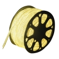 Aigostar - LED Venkovní pásek 50m LED/350W/230V 3000K IP65