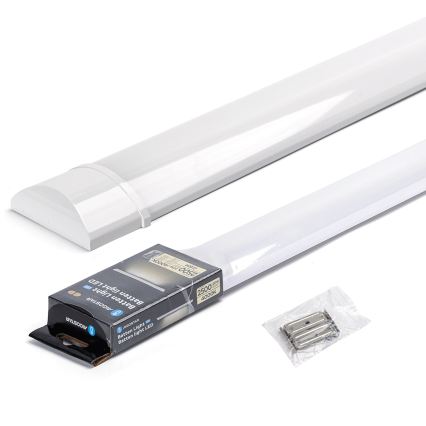 Aigostar - LED Zářivkové svítidlo LED/20W/230V 4000K 60 cm