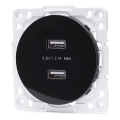 Aigostar - USB napájecí zásuvka bez rámečku 2x USB-A černá
