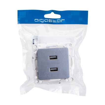 Aigostar - USB napájecí zásuvka bez rámečku 2x USB-A stříbrná