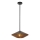 Alora Mood - Lustr na tyči DAPHNE 1xE27/60W/230V pr. 38,1 cm černá