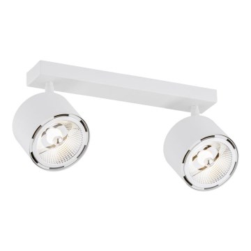 Argon 1031 - Bodové svítidlo CLEVLAND 2xGU10-AR111/12W/230V bílá