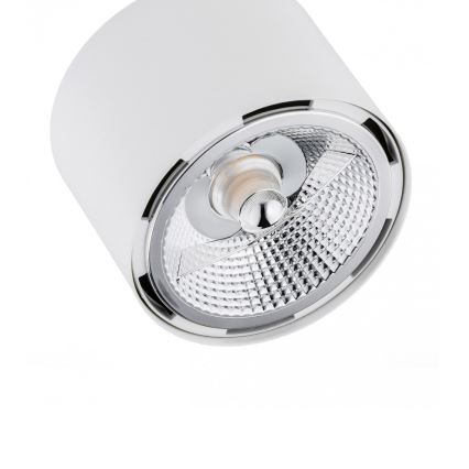 Argon 1031 - Bodové svítidlo CLEVLAND 2xGU10-AR111/12W/230V bílá
