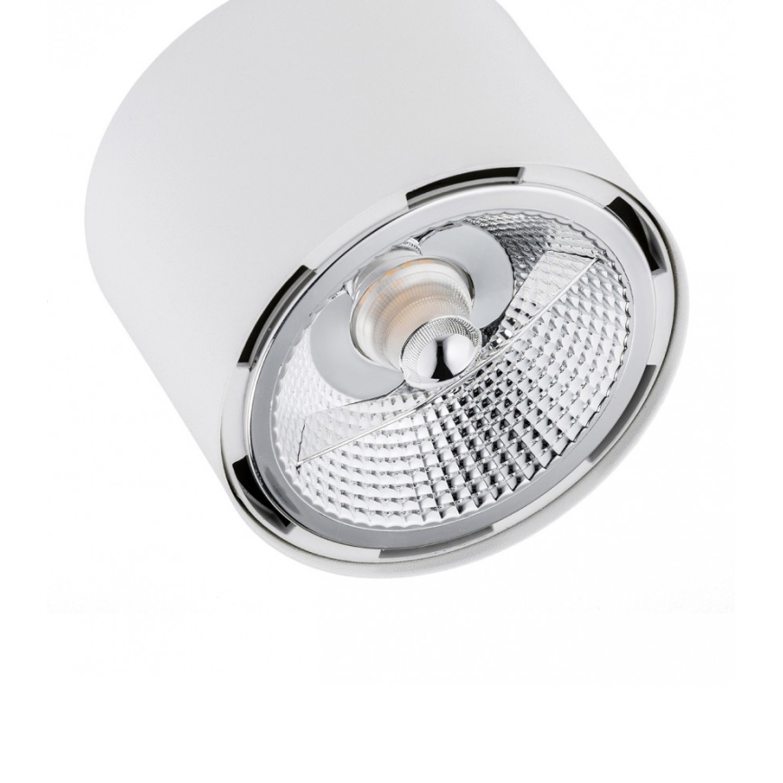 Argon 1031 - Bodové svítidlo CLEVLAND 2xGU10-AR111/12W/230V bílá