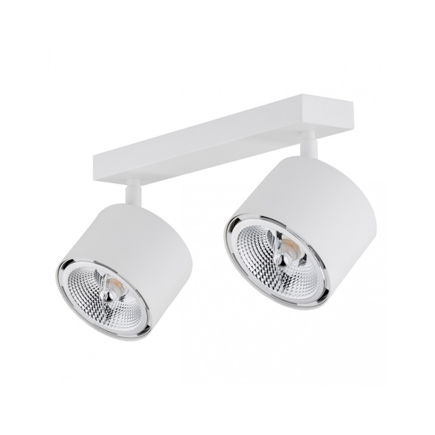 Argon 1031 - Bodové svítidlo CLEVLAND 2xGU10-AR111/12W/230V bílá
