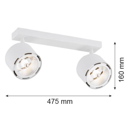 Argon 1031 - Bodové svítidlo CLEVLAND 2xGU10-AR111/12W/230V bílá