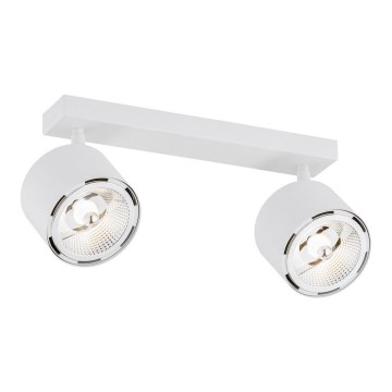 Argon 1031 BZ - Bodové svítidlo CLEVLAND 2xGU10-AR111/12W/230V bílá